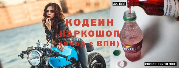 шишки Лабытнанги