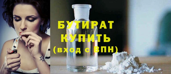 шишки Лабытнанги