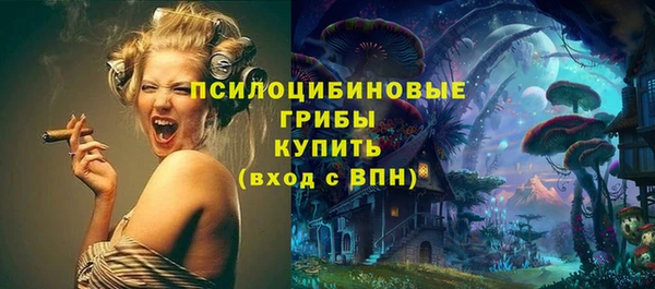 ГАЛЛЮЦИНОГЕННЫЕ ГРИБЫ Ладушкин