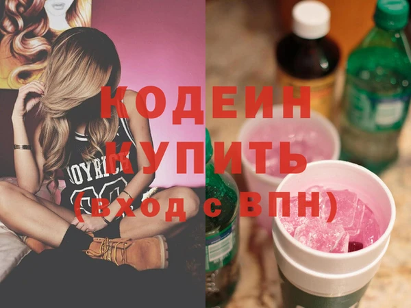 шишки Лабытнанги