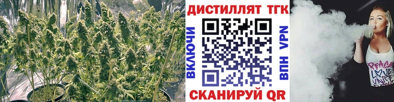 ТГК гашишное масло  Якутск 